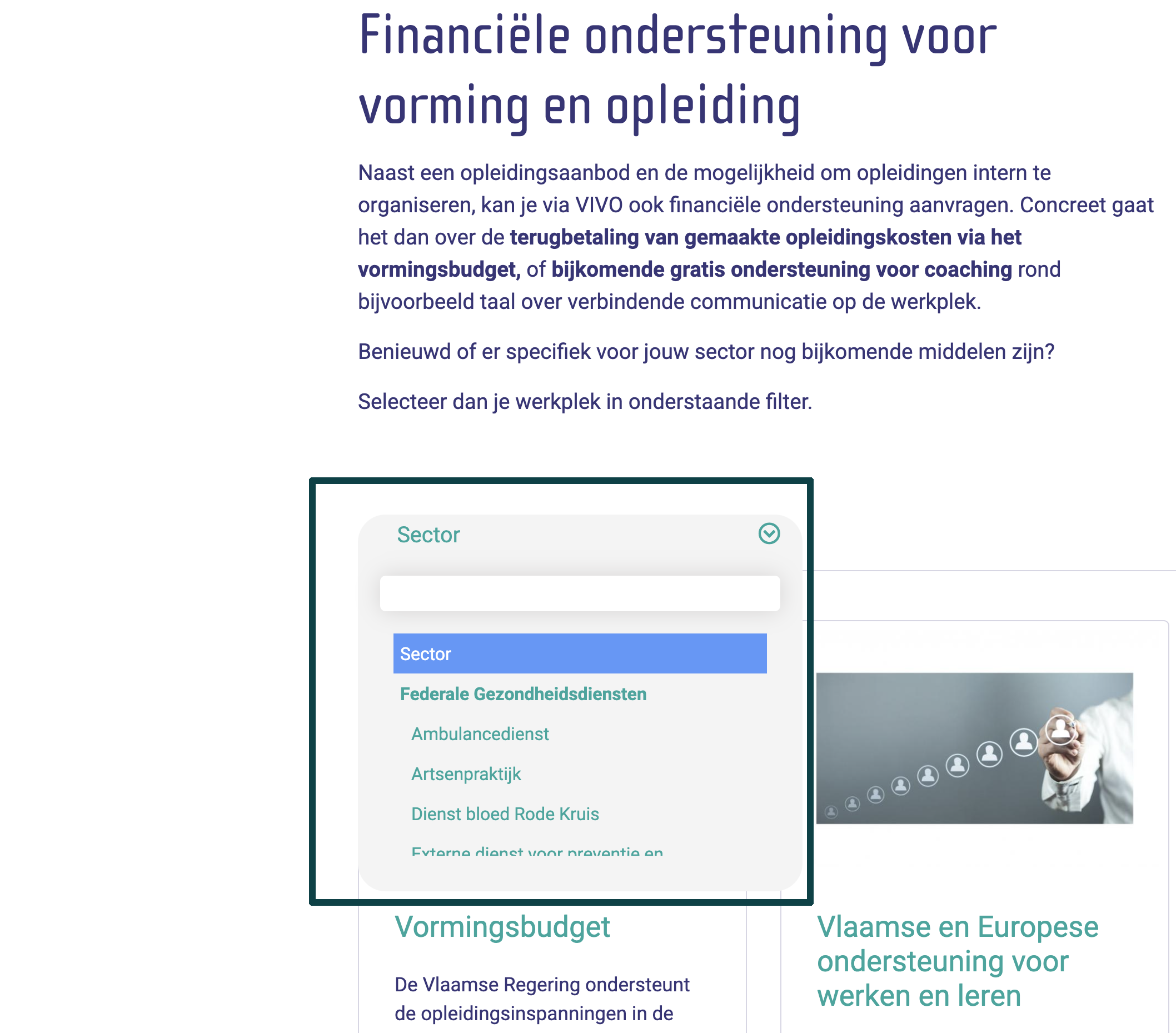 sectormenu-vivo-website